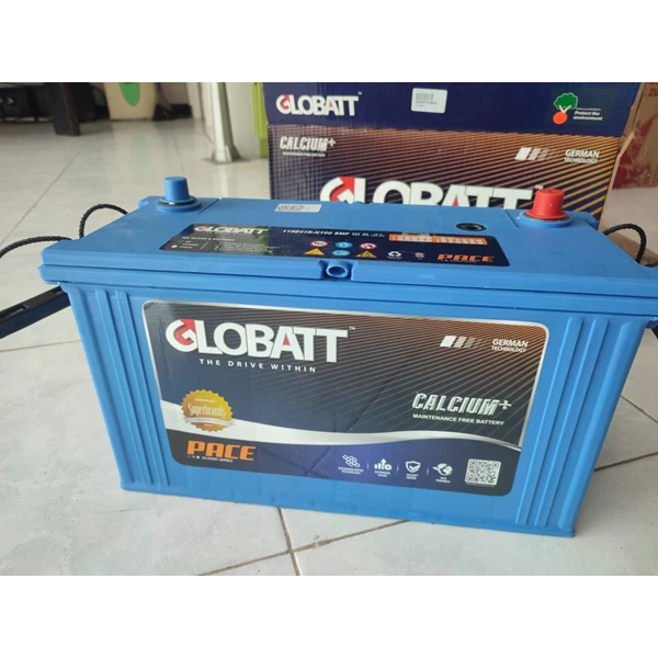 Globatt Calcium+ N100 generator dry battery