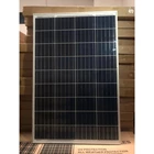 solar panel 100 wp poly zanetta lighting  2