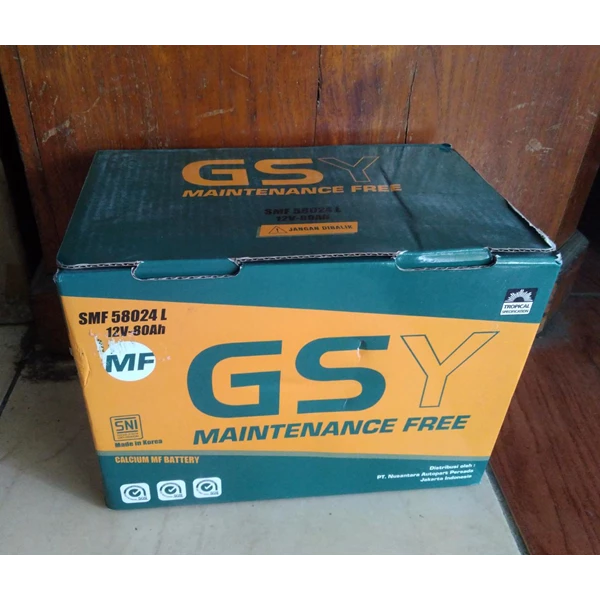 GSY 58024 Dry Car Battery MF